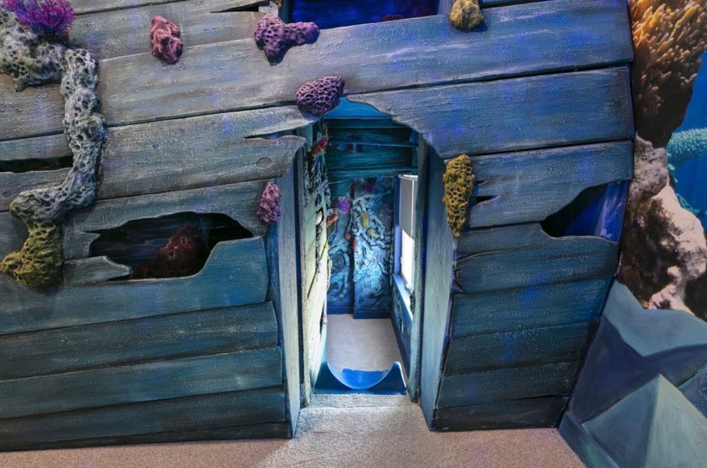 $800/Night Kissimmee Property